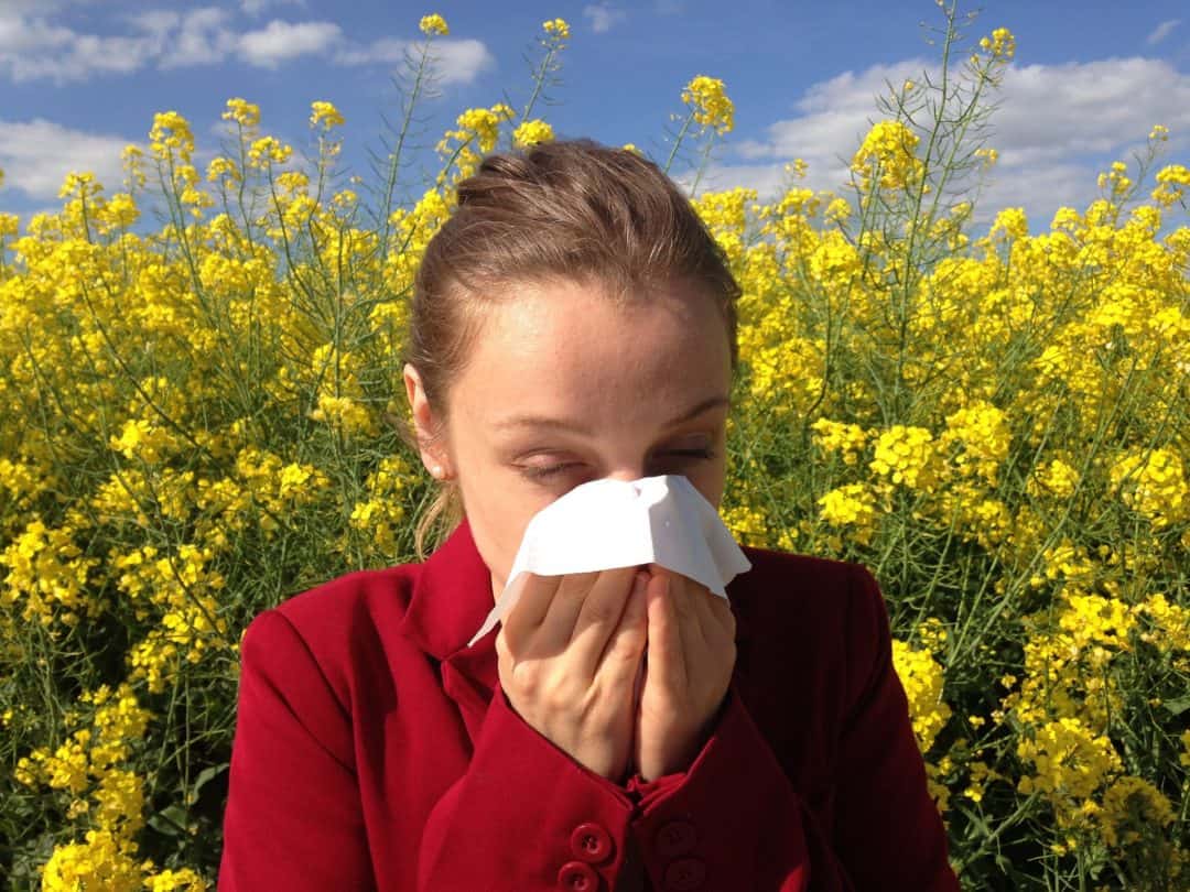 comment soigner une allergie